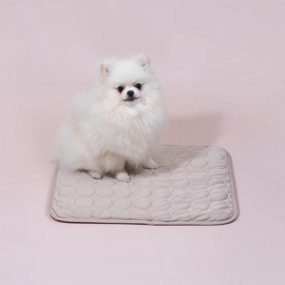 ChillPad for Dogs: Breathable Cooling Mat for Summer Relief