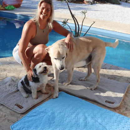 ChillPad for Dogs: Breathable Cooling Mat for Summer Relief