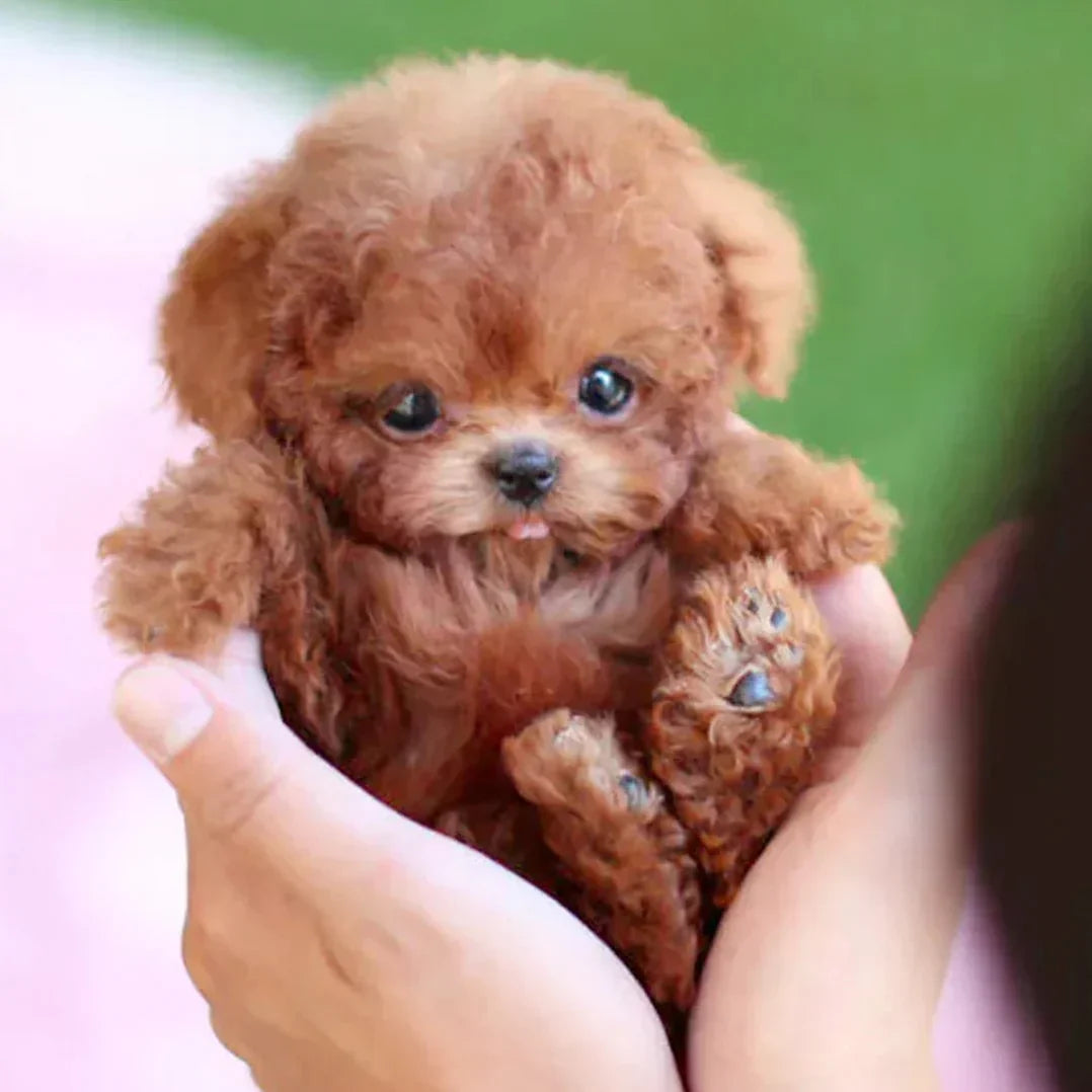 Touch-Activated Plush Companion Puppy with Lifelike Movement