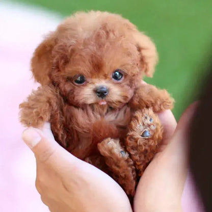 Touch-Activated Plush Companion Puppy with Lifelike Movement