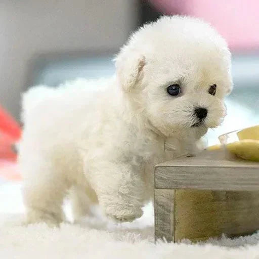 Touch-Activated Plush Companion Puppy with Lifelike Movement