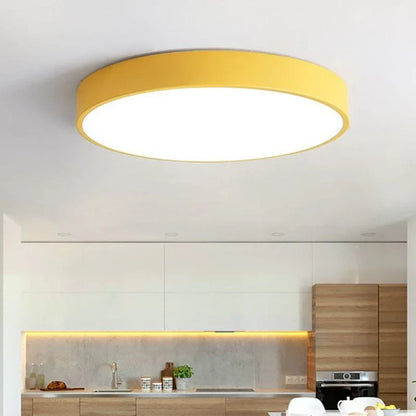 Sleek LED Ceiling Fixture for Any Room in Your Home