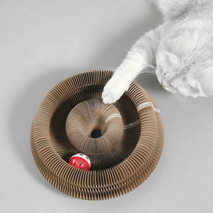 Interactive Cat Play Maze with Customizable Design and Jingle Ball