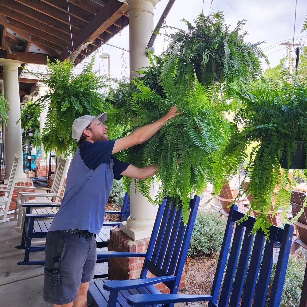 Lifelike Fern Collection with Weather-Resistant Design, 18 Pieces