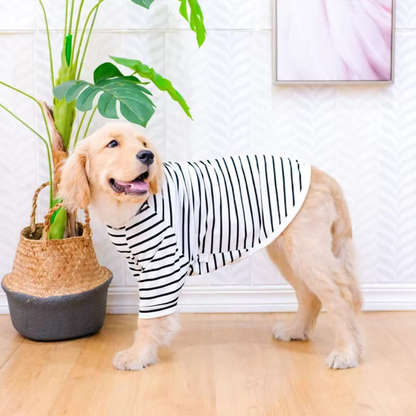 Summer-Ready Cotton T-Shirt for Medium to Large Dogs