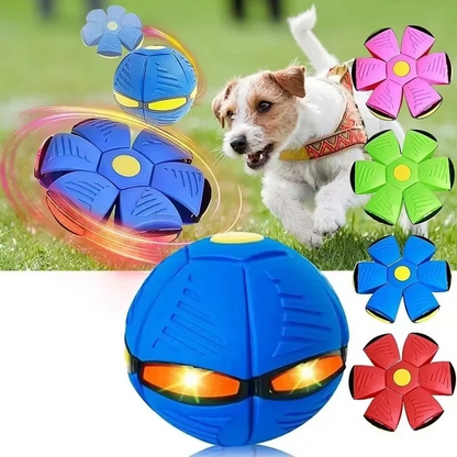 Transforming Disc and Ball for Active Playtime Fun