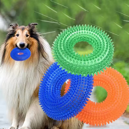 Interactive Chew Ring for Dogs with Textured Grip and Squeaker