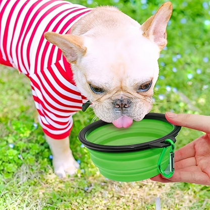 Compact Silicone Pet Dish with Space-Saving Foldable Design