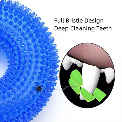 Interactive Chew Ring for Dogs with Textured Grip and Squeaker