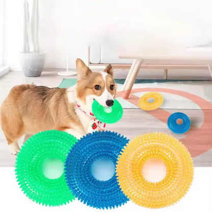 Interactive Chew Ring for Dogs with Textured Grip and Squeaker