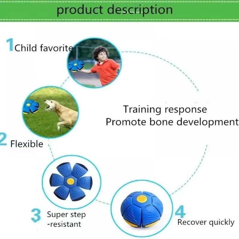 Transforming Disc and Ball for Active Playtime Fun