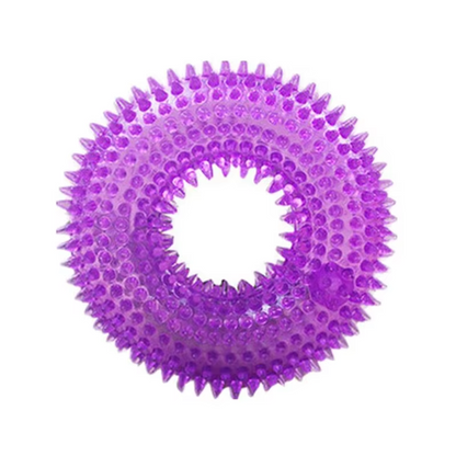 Interactive Chew Ring for Dogs with Textured Grip and Squeaker