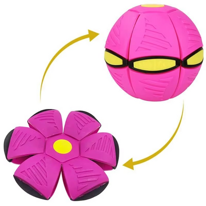 Transforming Disc and Ball for Active Playtime Fun