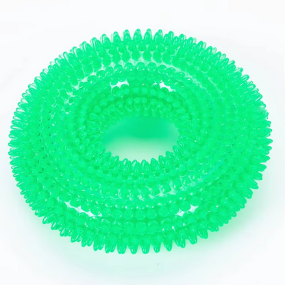 Interactive Chew Ring for Dogs with Textured Grip and Squeaker