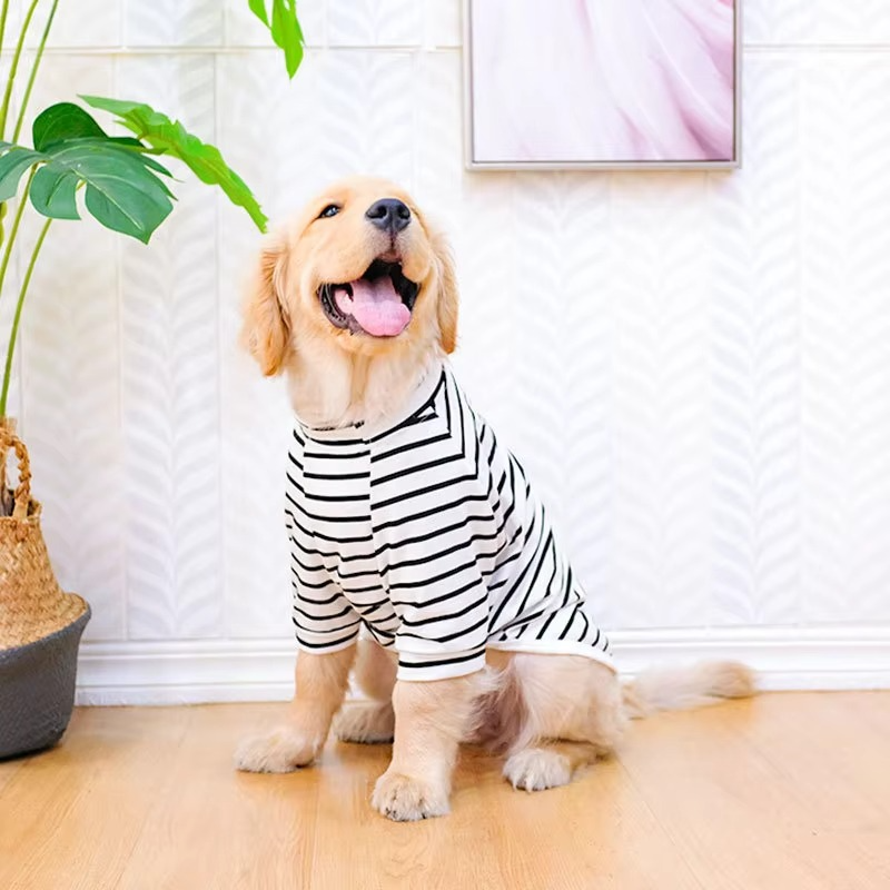 Summer-Ready Cotton T-Shirt for Medium to Large Dogs