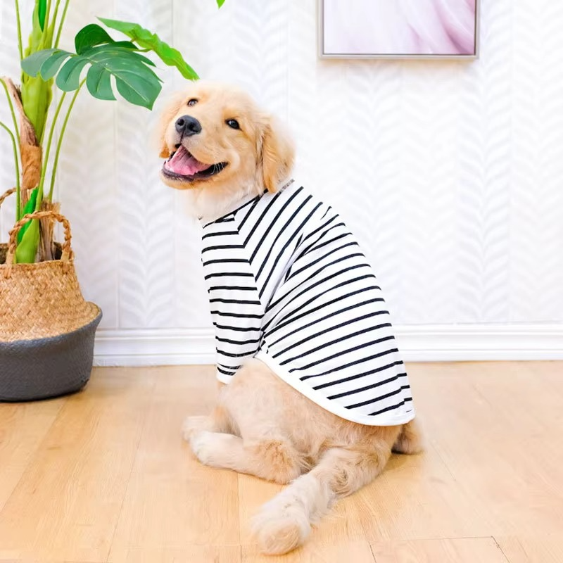Summer-Ready Cotton T-Shirt for Medium to Large Dogs