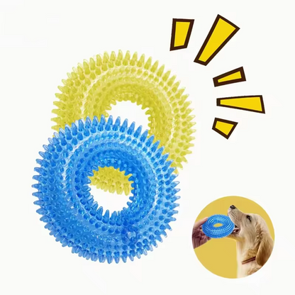 Interactive Chew Ring for Dogs with Textured Grip and Squeaker