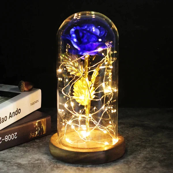 Everlasting Rose in Illuminated Glass Dome Display