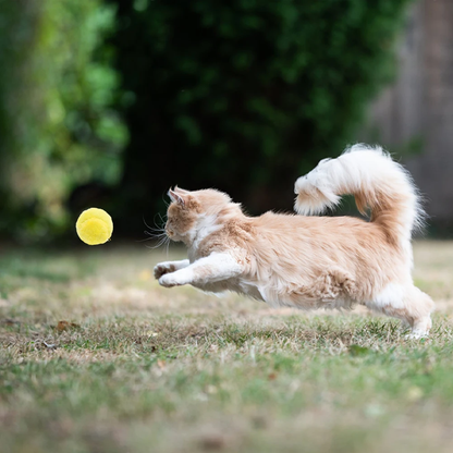 Smart Play Ball for Dogs with Motion Sensors & Easy-Clean Cover