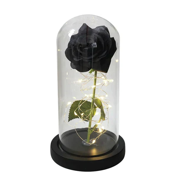 Everlasting Rose in Illuminated Glass Dome Display