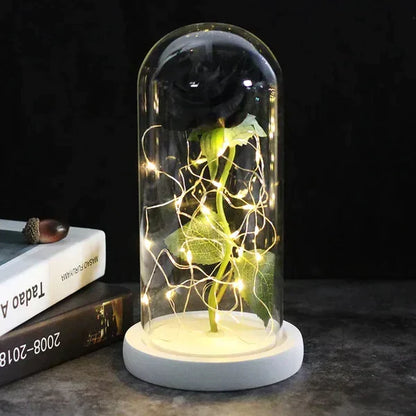Everlasting Rose in Illuminated Glass Dome Display