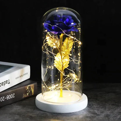 Everlasting Rose in Illuminated Glass Dome Display