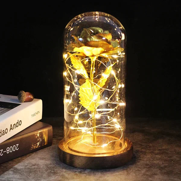 Everlasting Rose in Illuminated Glass Dome Display