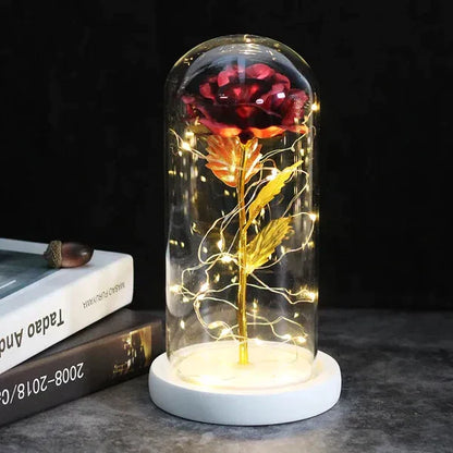 Everlasting Rose in Illuminated Glass Dome Display