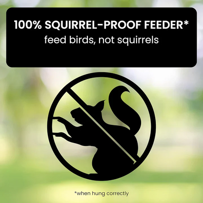 Bird Haven Squirrel-Resistant Feeder