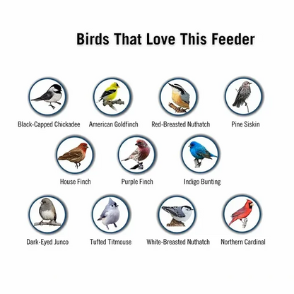 Bird Haven Squirrel-Resistant Feeder