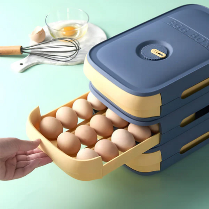 Organized Egg Keeper with Freshness Tracker