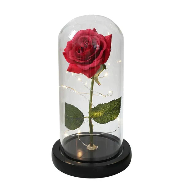 Everlasting Rose in Illuminated Glass Dome Display