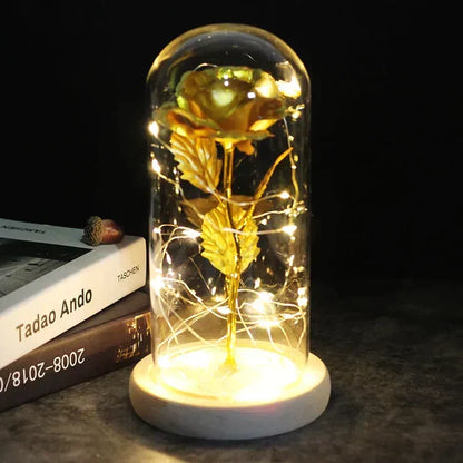 Everlasting Rose in Illuminated Glass Dome Display