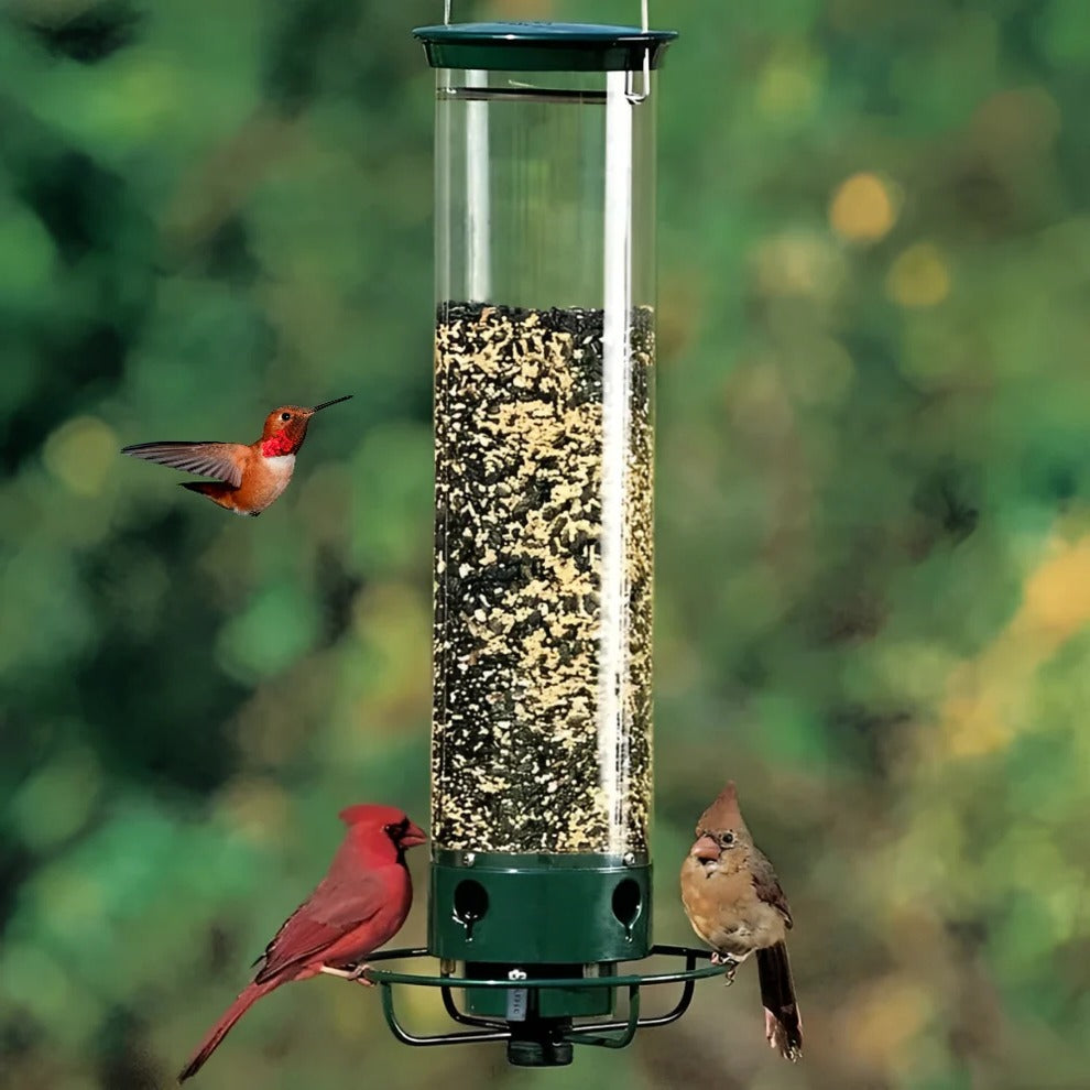 Bird Haven Squirrel-Resistant Feeder