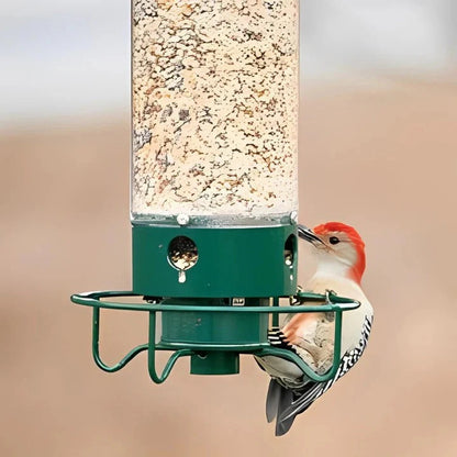 Bird Haven Squirrel-Resistant Feeder