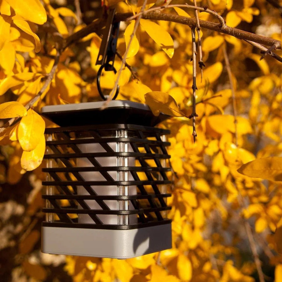Eco-Friendly Solar Garden Light with Stylish Design