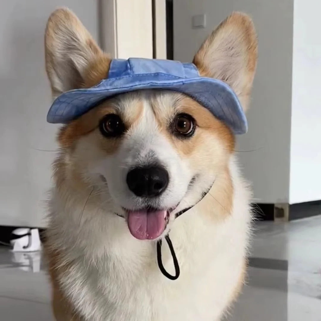 Summer Shade Dog Hat with Adjustable Chin Strap