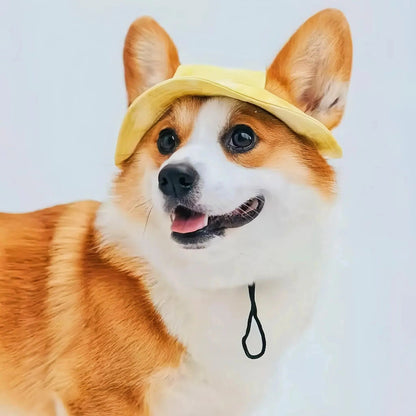 Summer Shade Dog Hat with Adjustable Chin Strap