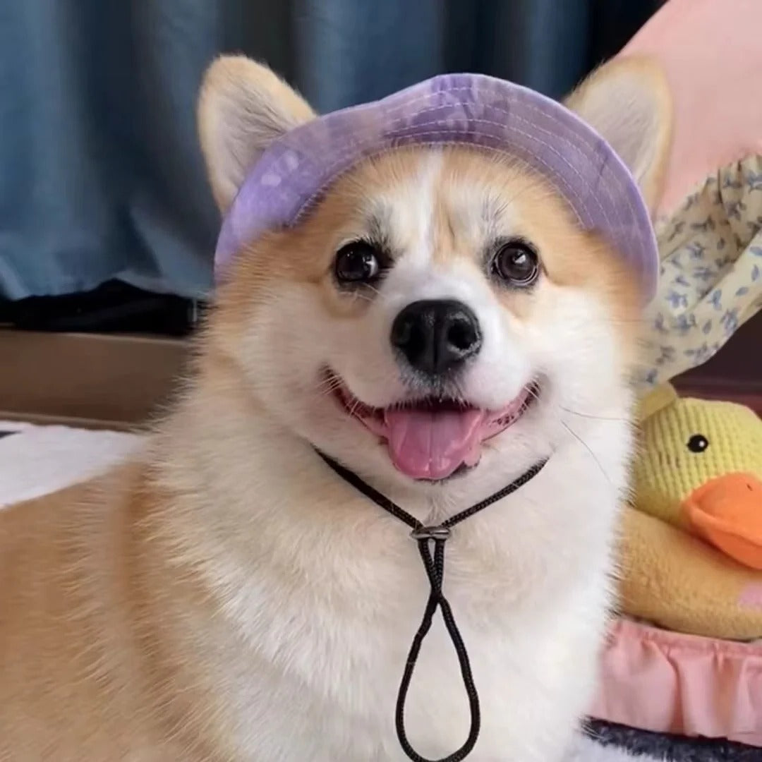 Summer Shade Dog Hat with Adjustable Chin Strap