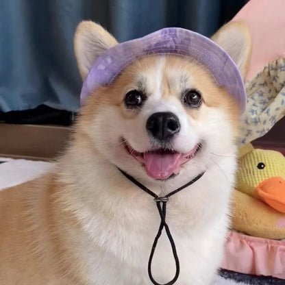 Summer Shade Dog Hat with Adjustable Chin Strap
