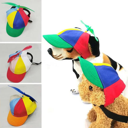Vibrant Pet Cap with Fun Spinning Top