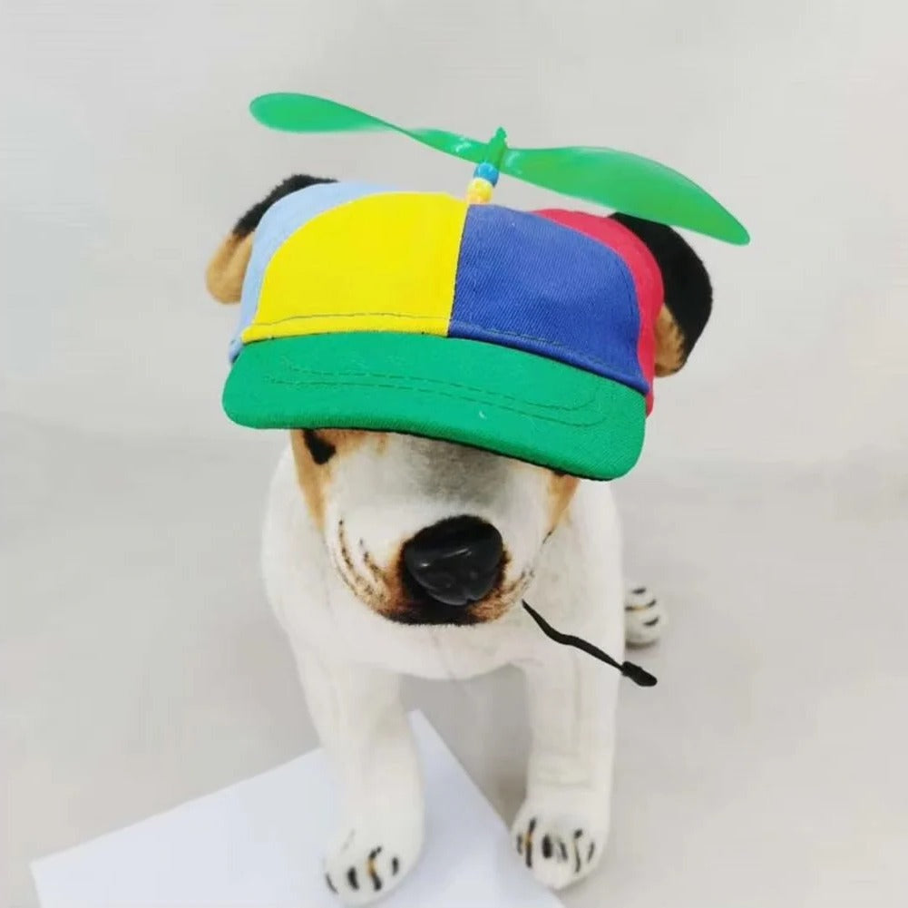 Vibrant Pet Cap with Fun Spinning Top