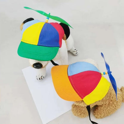 Vibrant Pet Cap with Fun Spinning Top
