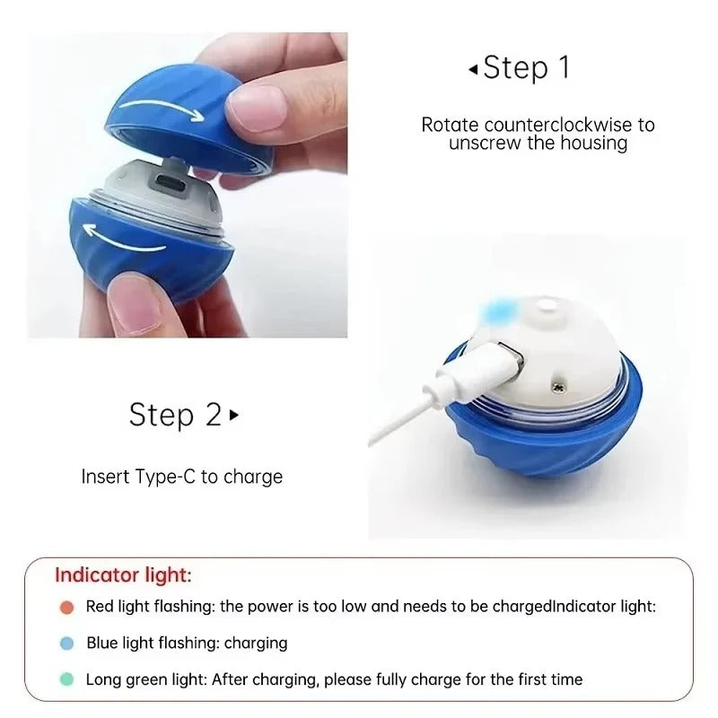 Interactive Pet Play Ball for Endless Fun