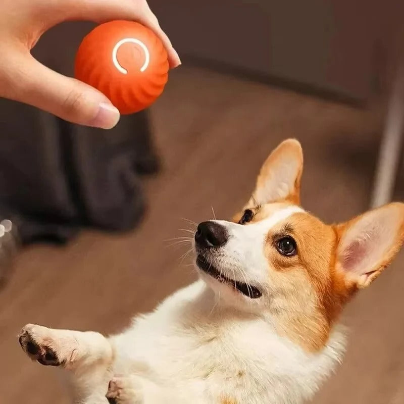 Interactive Pet Play Ball for Endless Fun