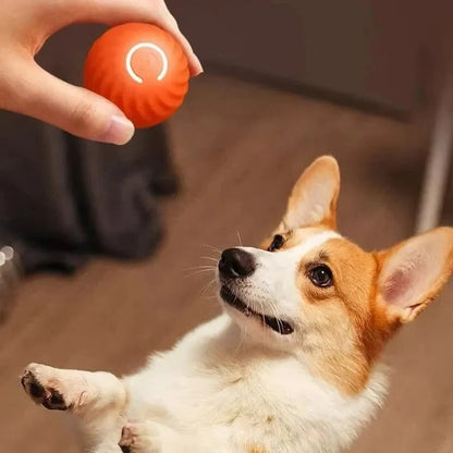 Interactive Pet Play Ball for Endless Fun