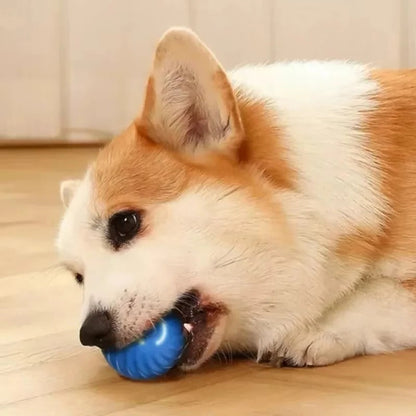 Interactive Pet Play Ball for Endless Fun