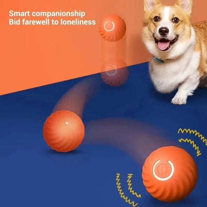 Interactive Pet Play Ball for Endless Fun