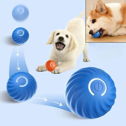 Interactive Pet Play Ball for Endless Fun