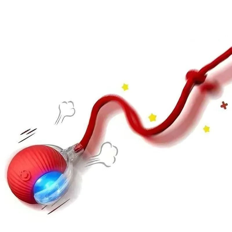 Rechargeable Pet Play Ball for Engaging Fun